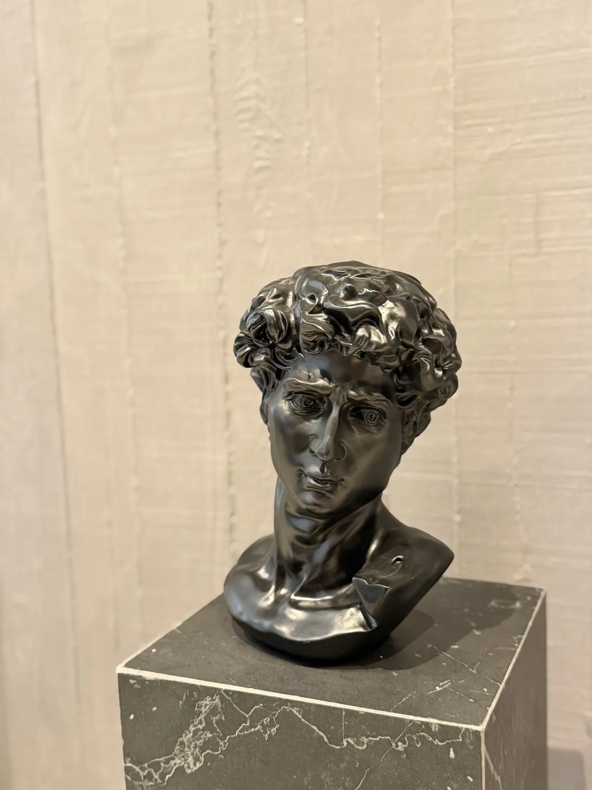 Busto David de Resina Negro 28 cm
