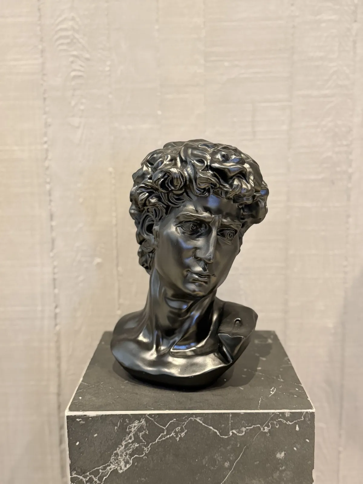 Busto David de Resina Negro 28 cm