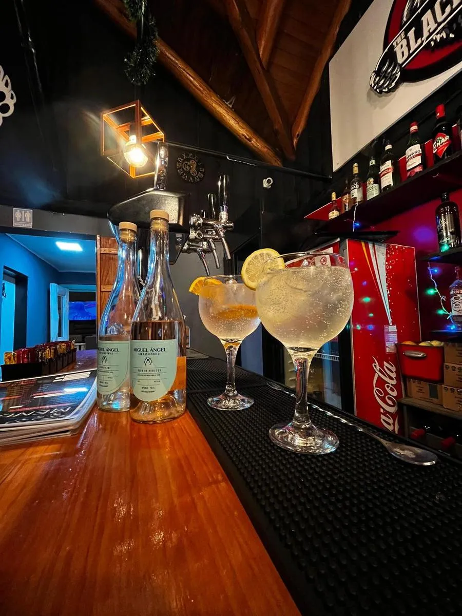 Hostería y Restaurant frente al río - Aluminé en Aluminé — venta — foto 3